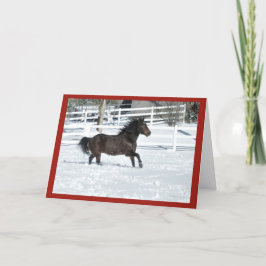 Mustang Horse Running Säsonhälsningars Card Kort