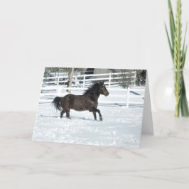 Mustang Horse Running Snö Säsonhälsningars Card Kort