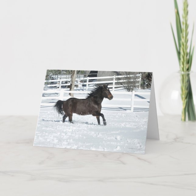 Mustang Horse Running Snö Säsonhälsningars Card Kort (Framsida)