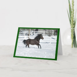 Mustang Horse Running Snö Seasons Greeting Card Kort