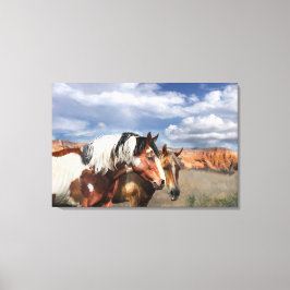 Mustang Horses i vilden, Stallion och hans Mare. Canvastryck