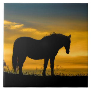 Mustang in Sunset Art Tile Kakelplatta