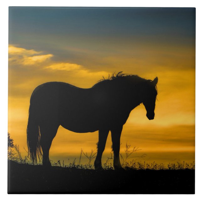 Mustang in Sunset Art Tile Kakelplatta (Framsidan)