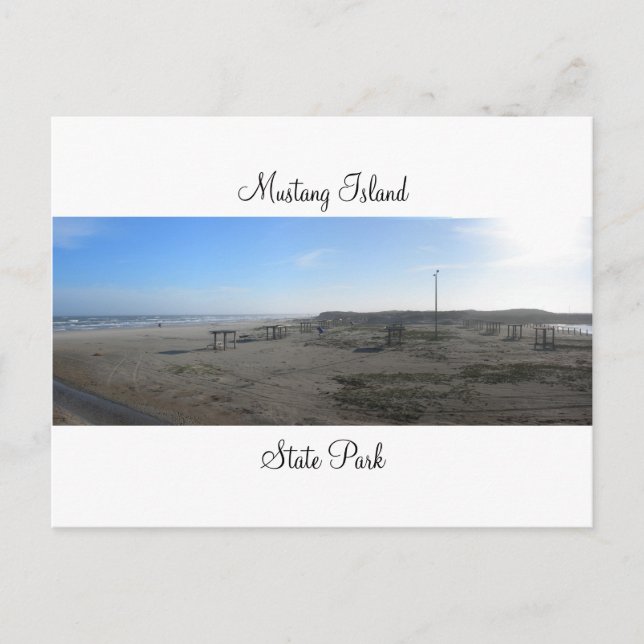 Mustang Island State Park Postcard Vykort (Framsida)