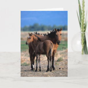 Mustang Mare and Foal Permanent with Birds Kort