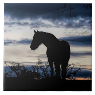 Mustang och Storm Fine Art Kakelplatta