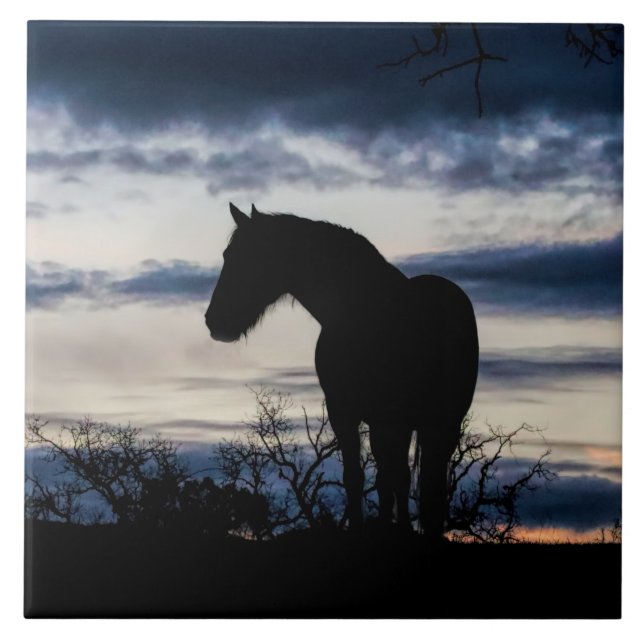 Mustang och Storm Fine Art Kakelplatta (Framsidan)