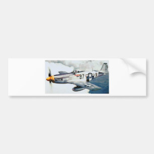 MUSTANG P-51 BILDEKAL
