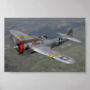 Mustang p-51 poster