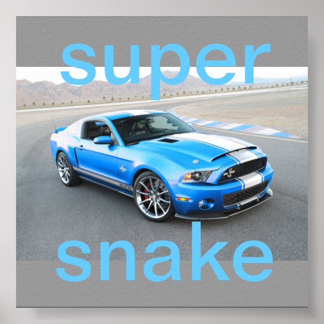 mustang poster (Framsidan)