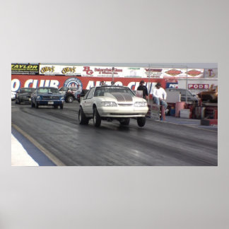 Mustang Regler! Poster