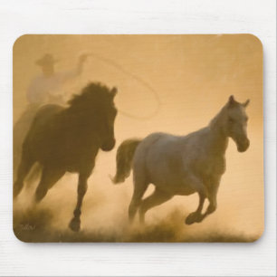 Mustang Roundup Musmatta
