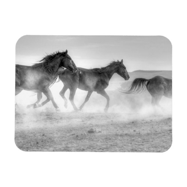 Mustang Springa Magnet (Horisontell)