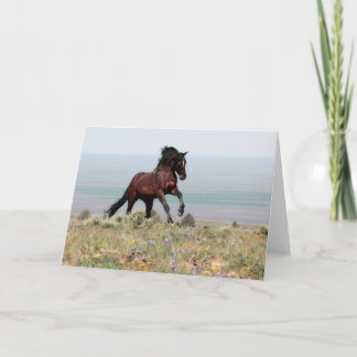Mustang Stallion, Clancy-Greeting Card Kort