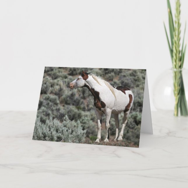 Mustang Stallion Greeting Card Kort (Framsida)