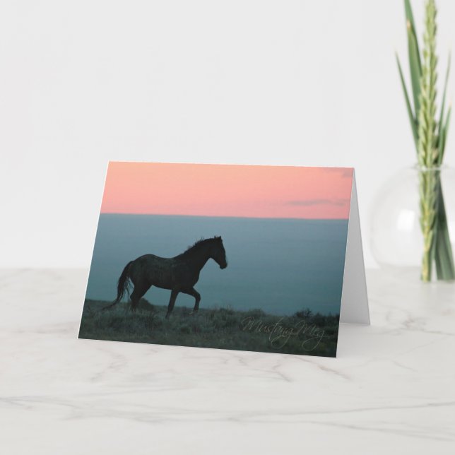 Mustang Stallion på Sunset Greeting Card Kort (Framsida)