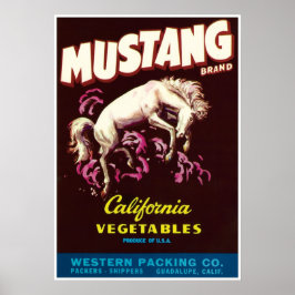 Mustang Vild Horse Guadalupe California Vegetables Poster