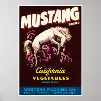 Mustang Vild Horse Guadalupe California Vegetables Poster