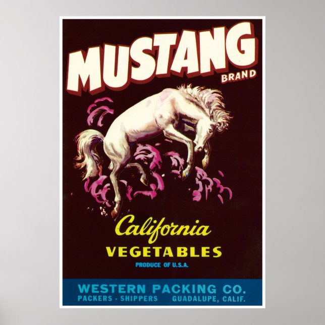 Mustang Vild Horse Guadalupe California Vegetables Poster (Framsidan)