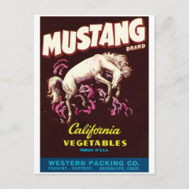 Mustang Vild Horse Guadalupe California Vegetables Vykort