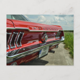 Mustang-vykort Vykort