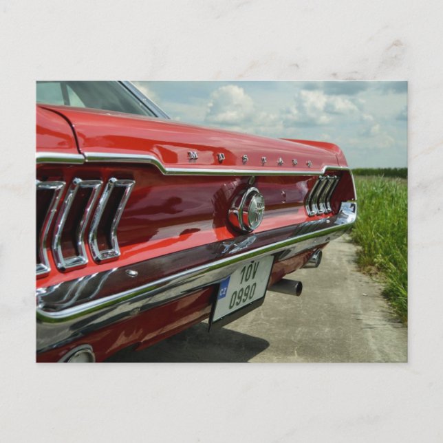 Mustang-vykort Vykort (Framsida)