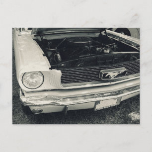 Mustang-vykort Vykort