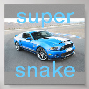 mustangaffisch poster
