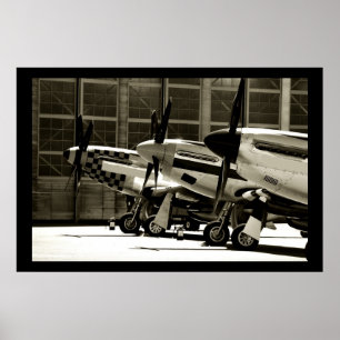 Mustangen ror poster