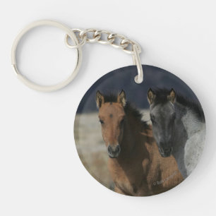 MustangfölHeadshot