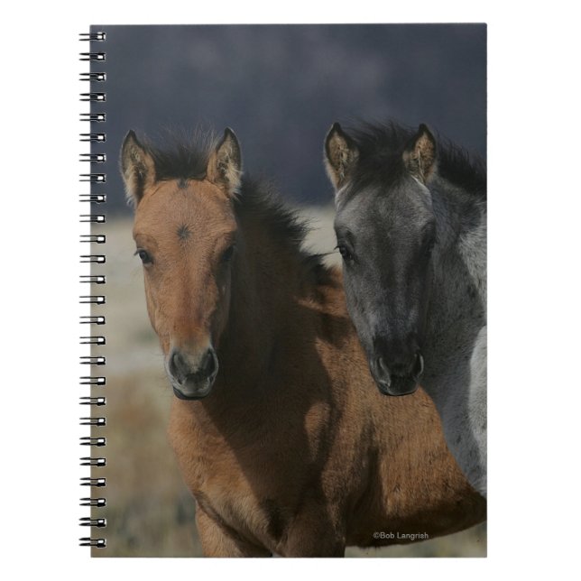 MustangfölHeadshot Anteckningsbok (Framsidan)