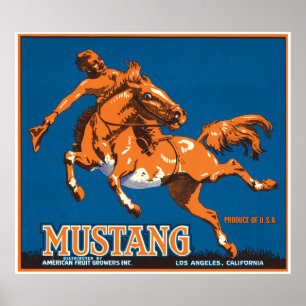 MustanghästCowboy Los Angeles Kalifornien USA Poster