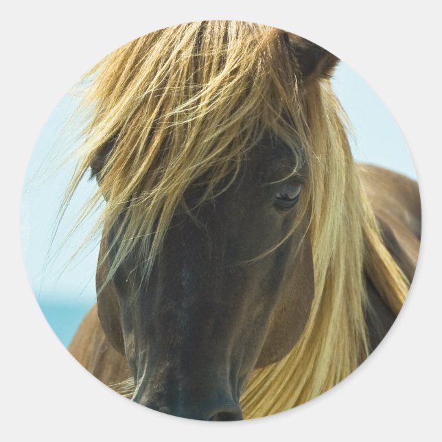 Mustangklistermärkear Runt Klistermärke (Framsida)