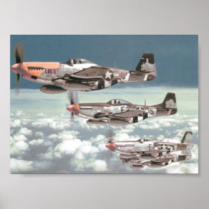 Mustangpatrull Poster