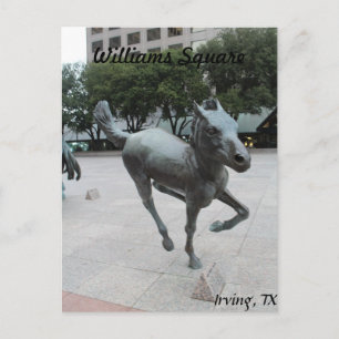 Mustangs of Las Colinas # 11 Vykort