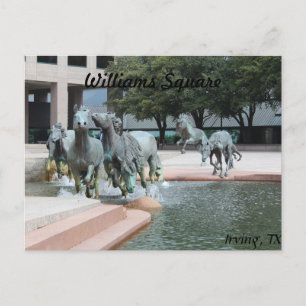 Mustangs of Las Colinas # 12 Vykort