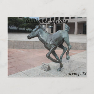 Mustangs of Las Colinas # 13 Vykort