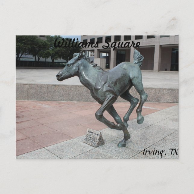 Mustangs of Las Colinas # 13 Vykort (Framsida)