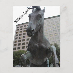 Mustangs of Las Colinas # 17 Vykort