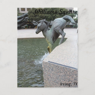 Mustangs of Las Colinas # 18 Vykort