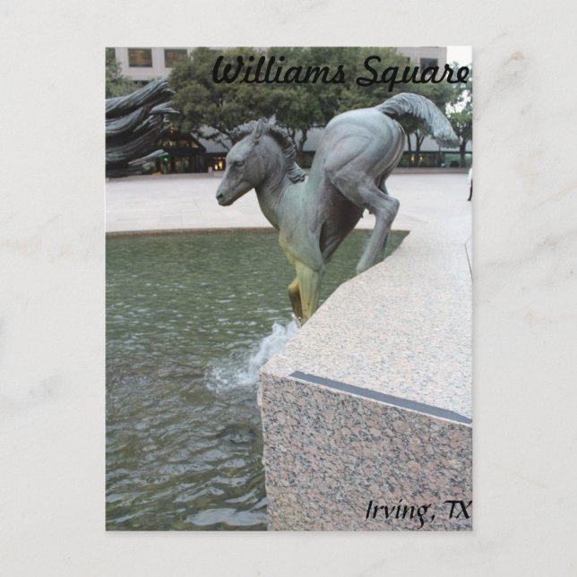 Mustangs of Las Colinas # 18 Vykort (Framsida)