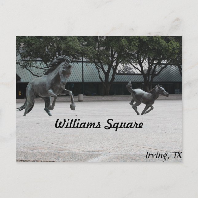 Mustangs of Las Colinas # 19 Vykort (Framsida)