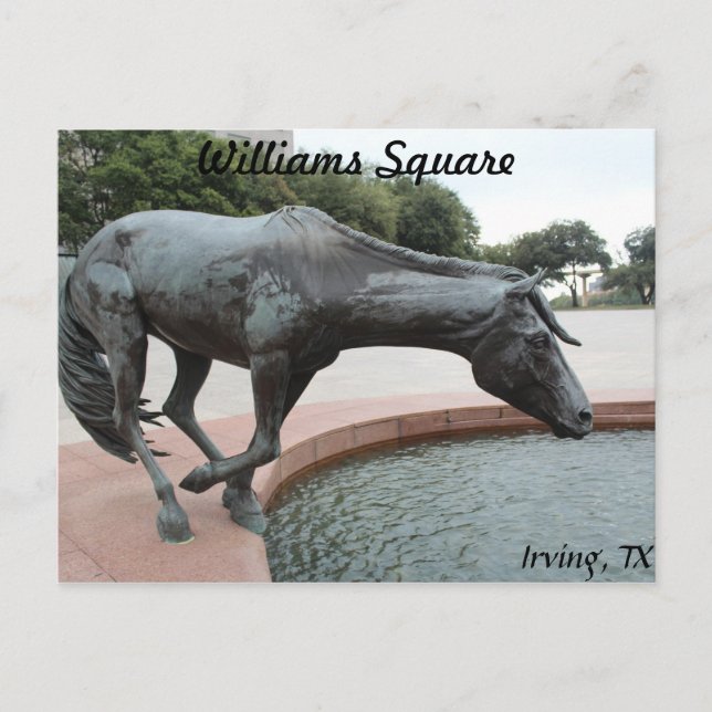 Mustangs of Las Colinas # 1 Vykort (Framsida)