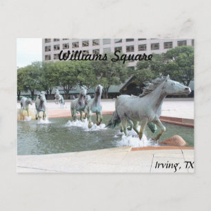 Mustangs of Las Colinas # 21 Vykort