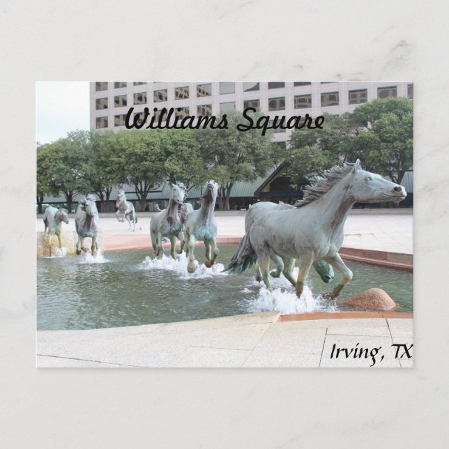 Mustangs of Las Colinas # 21 Vykort (Framsida)
