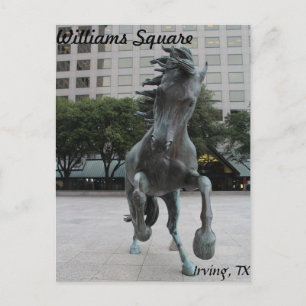 Mustangs of Las Colinas # 25 Vykort