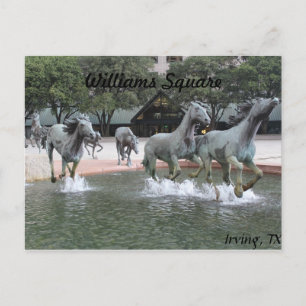 Mustangs of Las Colinas # 27 Vykort