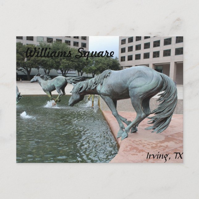 Mustangs of Las Colinas # 28 Vykort (Framsida)