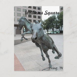 Mustangs of Las Colinas # 29 Vykort