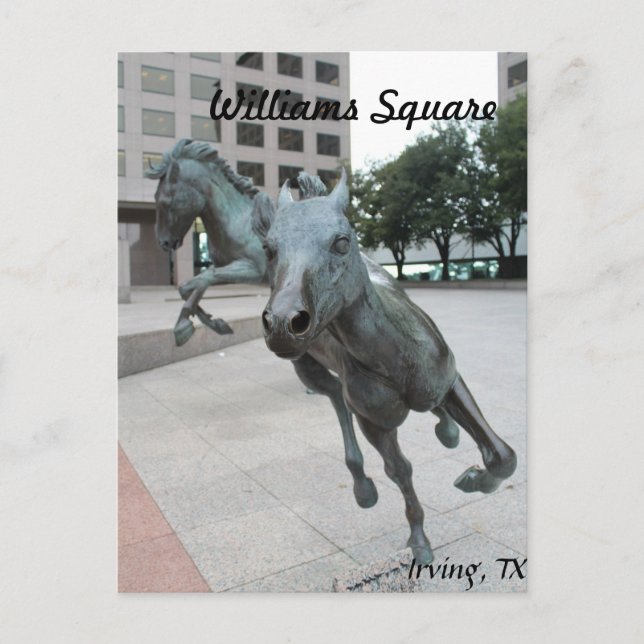 Mustangs of Las Colinas # 29 Vykort (Framsida)